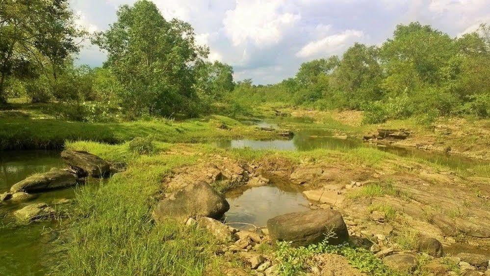 Kula Kula Luxury Camping Resort Udawalawe Exterior foto